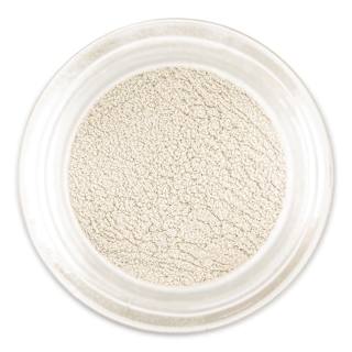 Jacquard Pearl-Ex Pigment - 0.75 oz, Pearl White