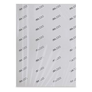 Winsor & Newton Professional Watercolor Paper - 22" x 30", Rough Press, 140 lb
