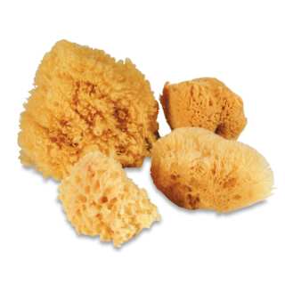 Royal & Langnickel Super Value Sponge Set - Set of 4