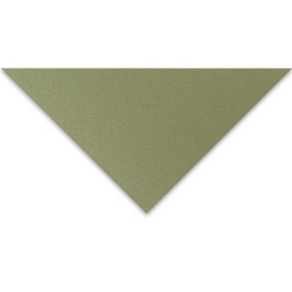 Crescent Berkeley Cream Core Matboard - 32" x 40", Moss Point Green / Palm