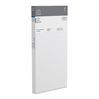 Winsor & Newton Professional Cotton Canvas - 6" x 12", Traditional Profile