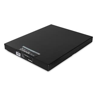 Blick Archival Storage Box - 16" x 20" x 2", Black