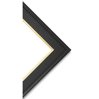 Blick Simplon Frame with Liner - 11" x 14" x 5/16", Black/Gold