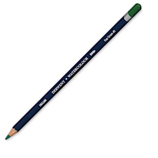 Derwent Watercolor Pencil - Sap Green