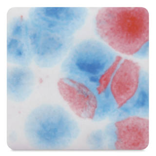 Mayco Crystalite Glaze - Kaboom, Pint