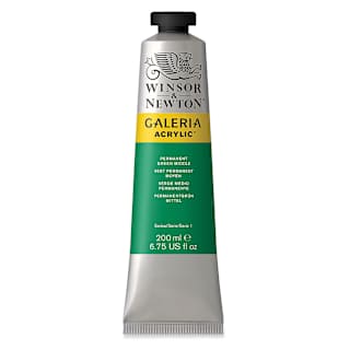 Winsor & Newton Galeria Flow Acrylics - Permanent Green Middle, 200 ml tube
