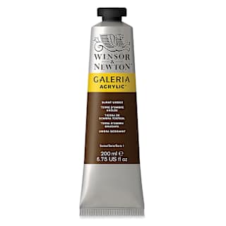 Winsor & Newton Galeria Flow Acrylics - Burnt Umber, 200 ml tube