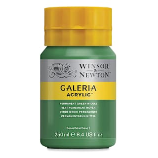 Winsor & Newton Galeria Flow Acrylics - Permanent Green Middle, 250 ml tube