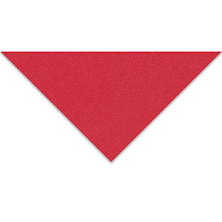 Crescent Berkeley White Core Matboard - 20" x 32", Brite Red