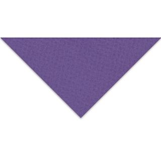 Crescent Berkeley White Core Matboard - 20" x 32", Purple Iris