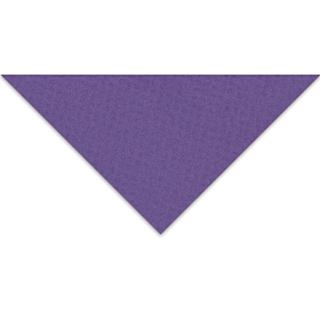 Crescent Berkeley White Core Matboard - 32" x 40", Purple Iris