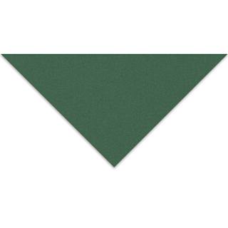 Crescent Berkeley White Core Matboard - 20" x 32", Hunter Green