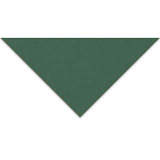 Crescent Berkeley Black Core Matboard - 32" x 40", Hunter Green