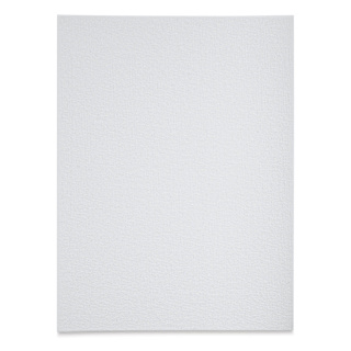 Blick Studio Cotton Canvas Panel - 9" x 12"
