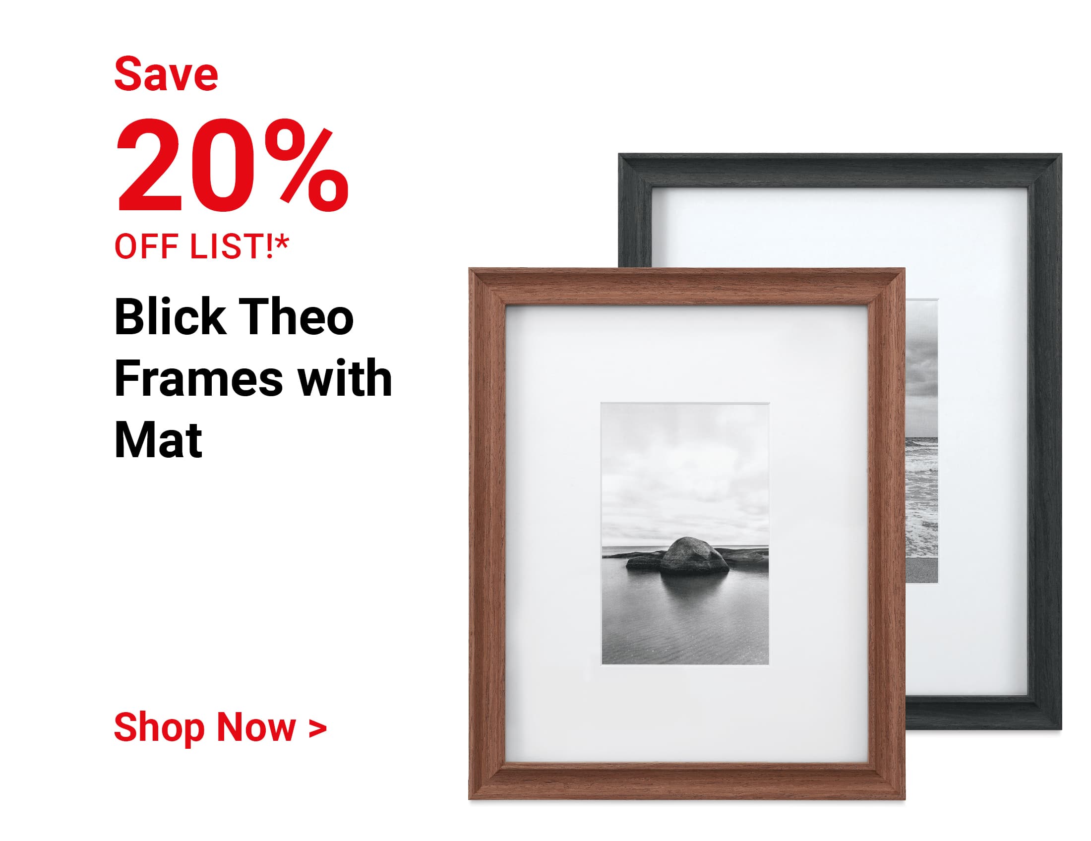 Save 20% off list! Blick Theo Frames with Mat. Shop Now.