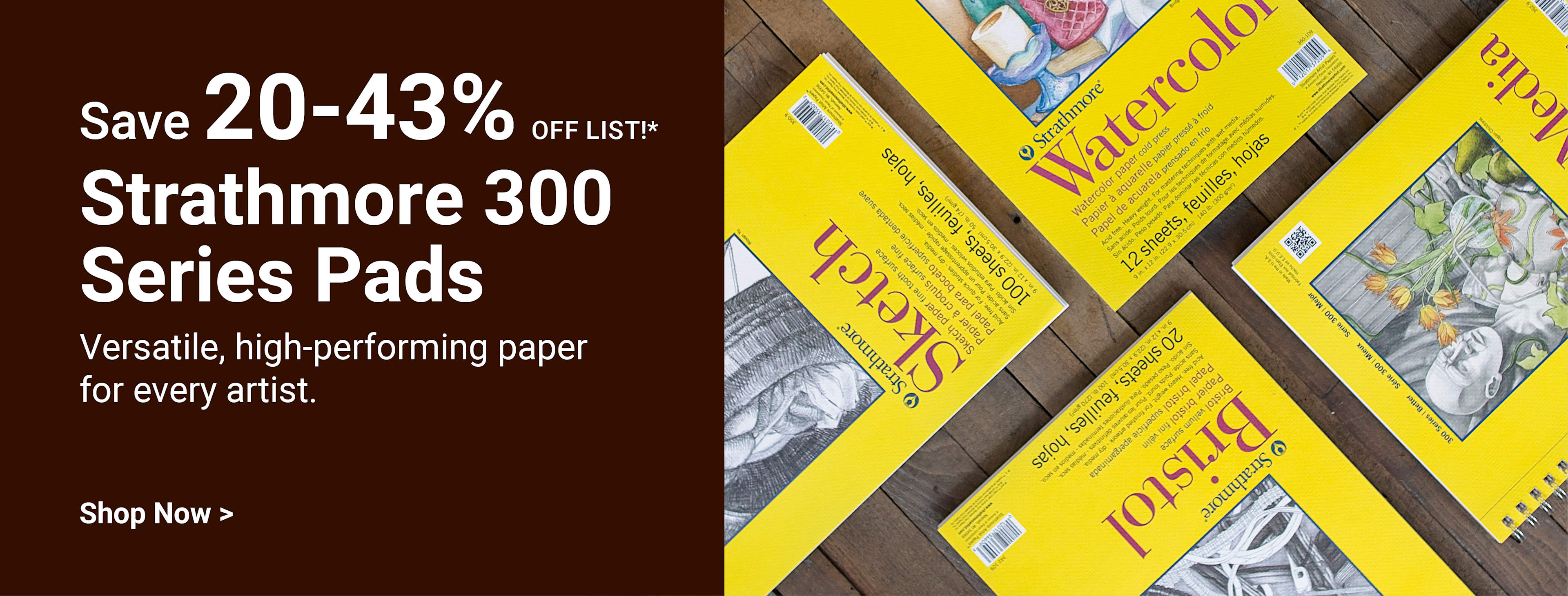 SAVE 20-43% OFF LIST! Strathmore 300 Series Pads. Versatile, high-performing paper for every artist. Shop now.