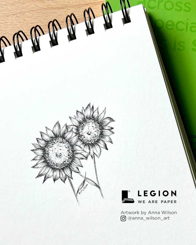 How to Draw Sunflowers with Anna Wilson and Legion Stonehenge