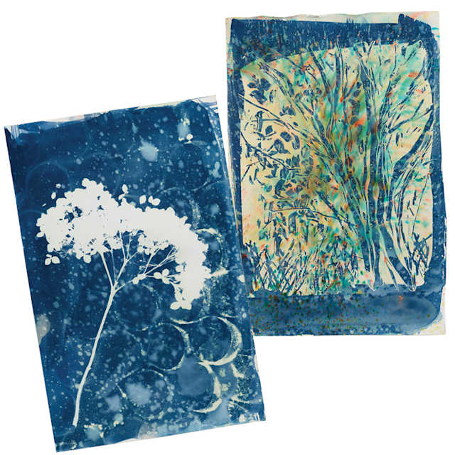 Wet Cyanotype Prints
