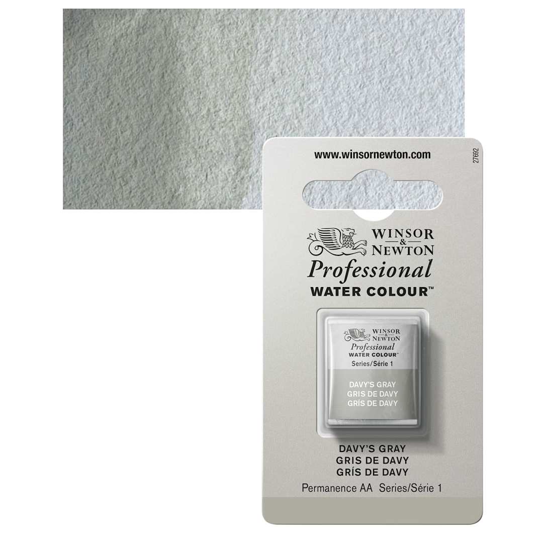 Open in modal - Winsor & Newton Professional Watercolor - Davy's Gray, Half Pan and swatch
