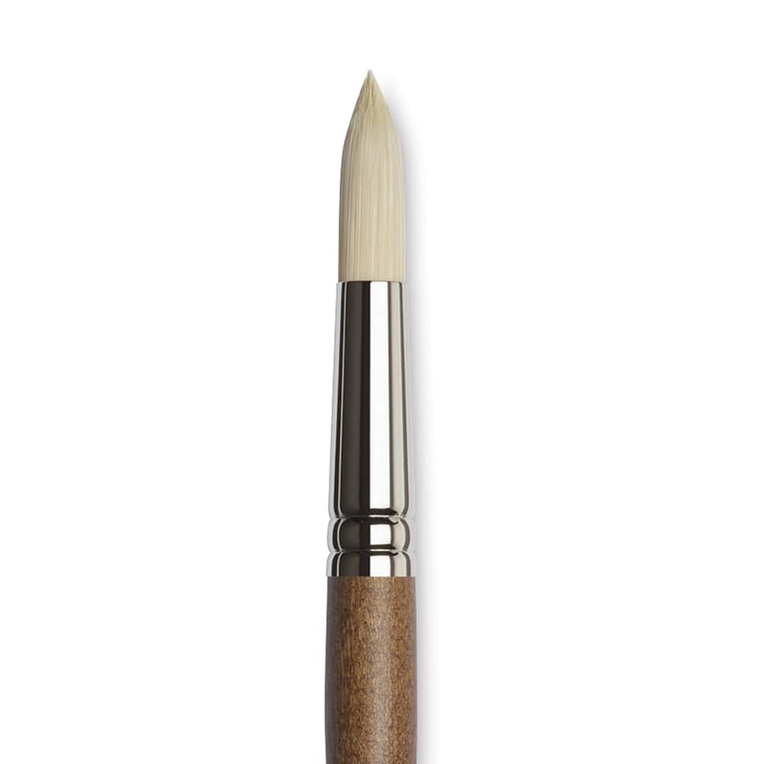 Open in modal - Winsor & Newton Artists' Oil Synthetic Hog Brush - Round, Size 16, Long Handle (close-up)