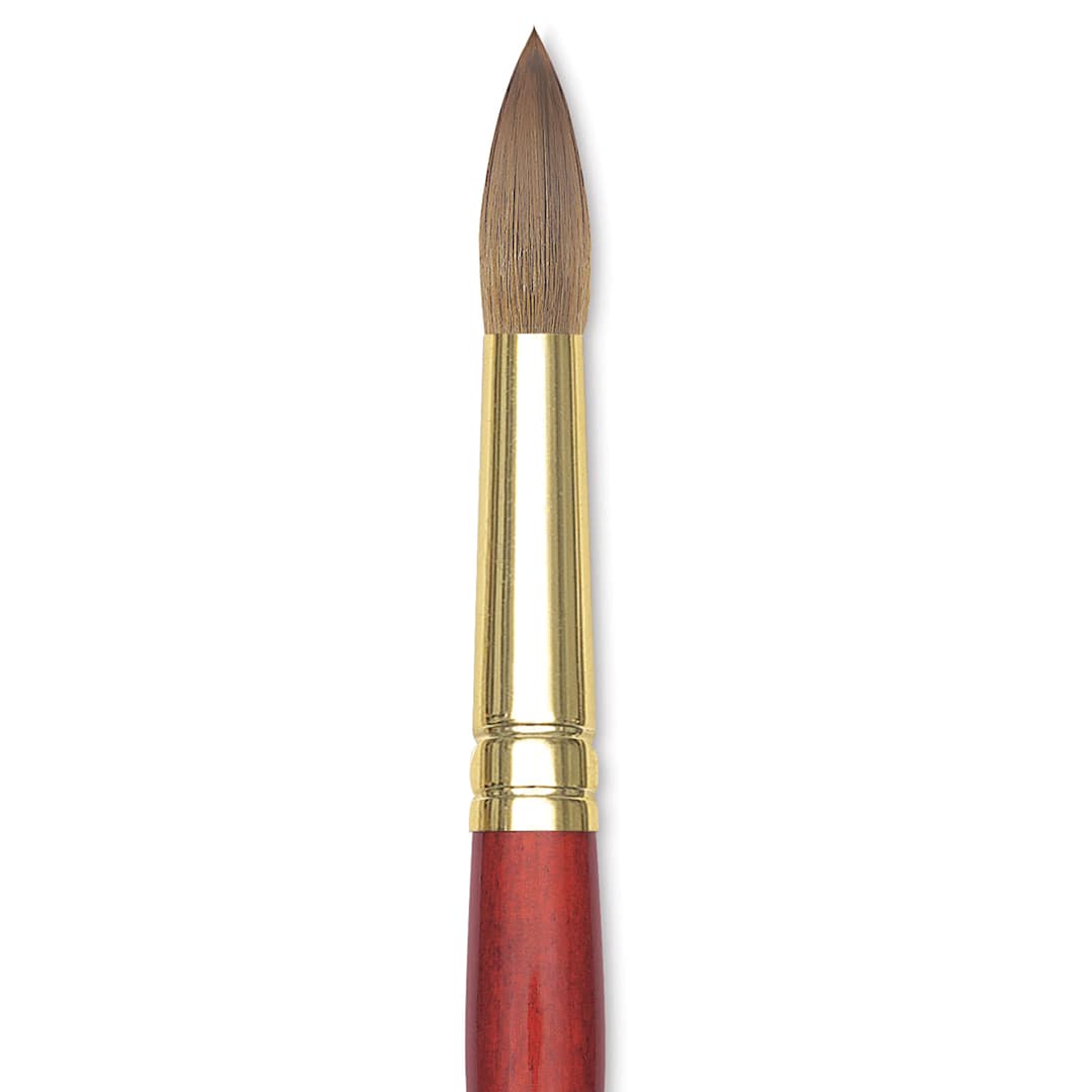 Open in modal - Winsor & Newton Sceptre Gold II Brush - Pointed Round, Short Handle, Size 16