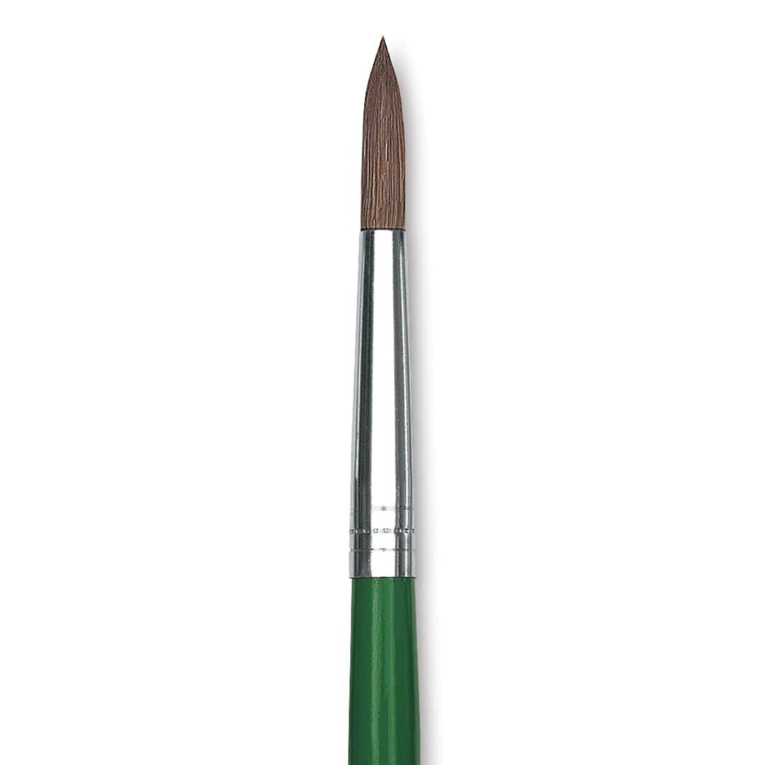Open in modal - Blick Economy Pony Hair Brush - Round, Short Handle, Size 8 close-up