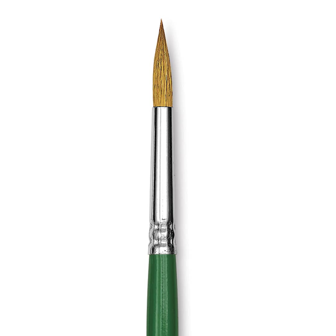 Open in modal - Blick Economy Sable Brush - Round, Size 6 close-up