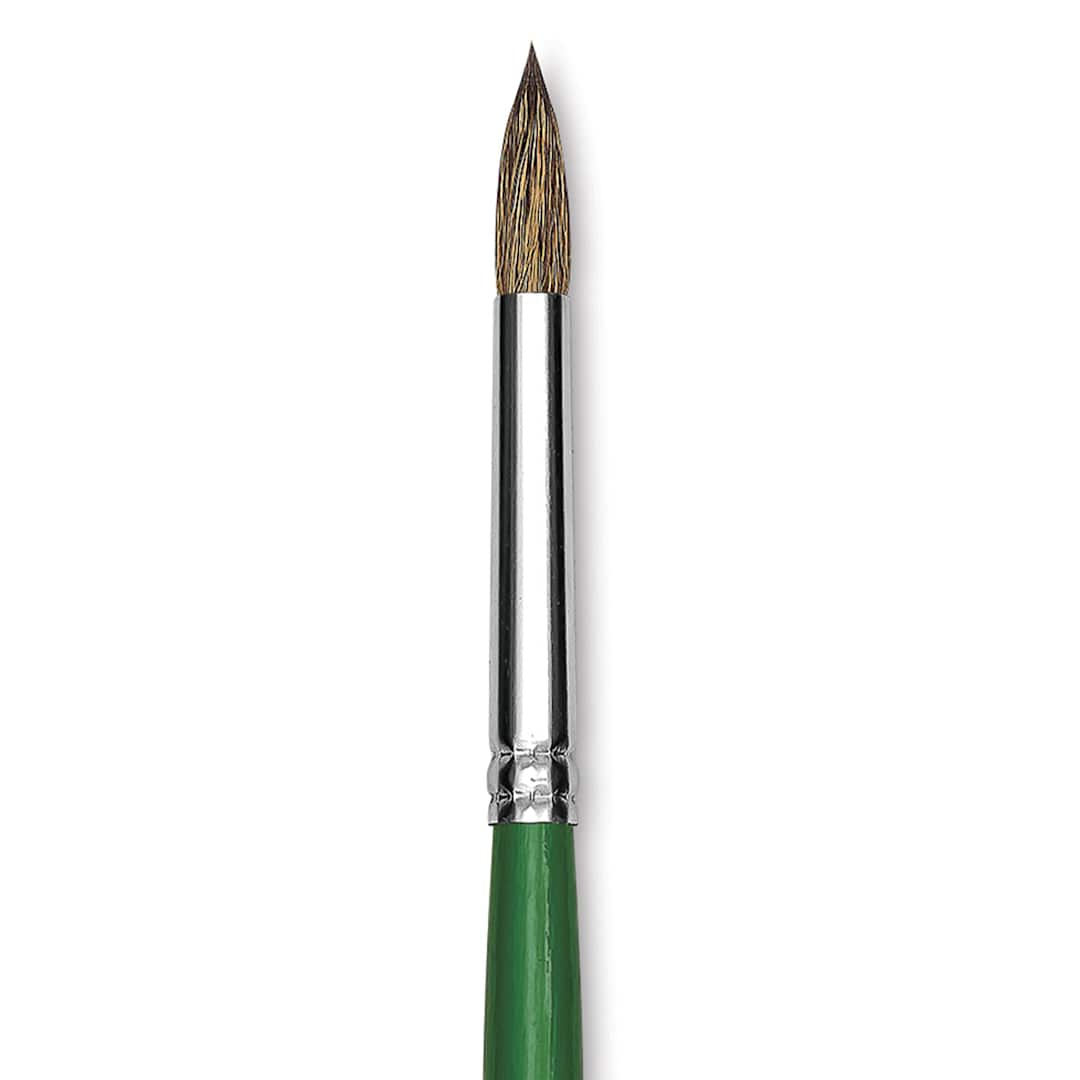 Open in modal - Blick Economy Ox/Pony Hair Brush - Round, Long Handle, Size 8 close up