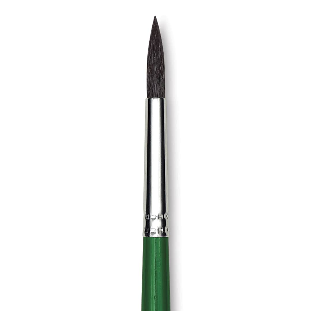 Open in modal - Blick Economy Camel Hair Brush - Round, Short Handle, Size 6 close up