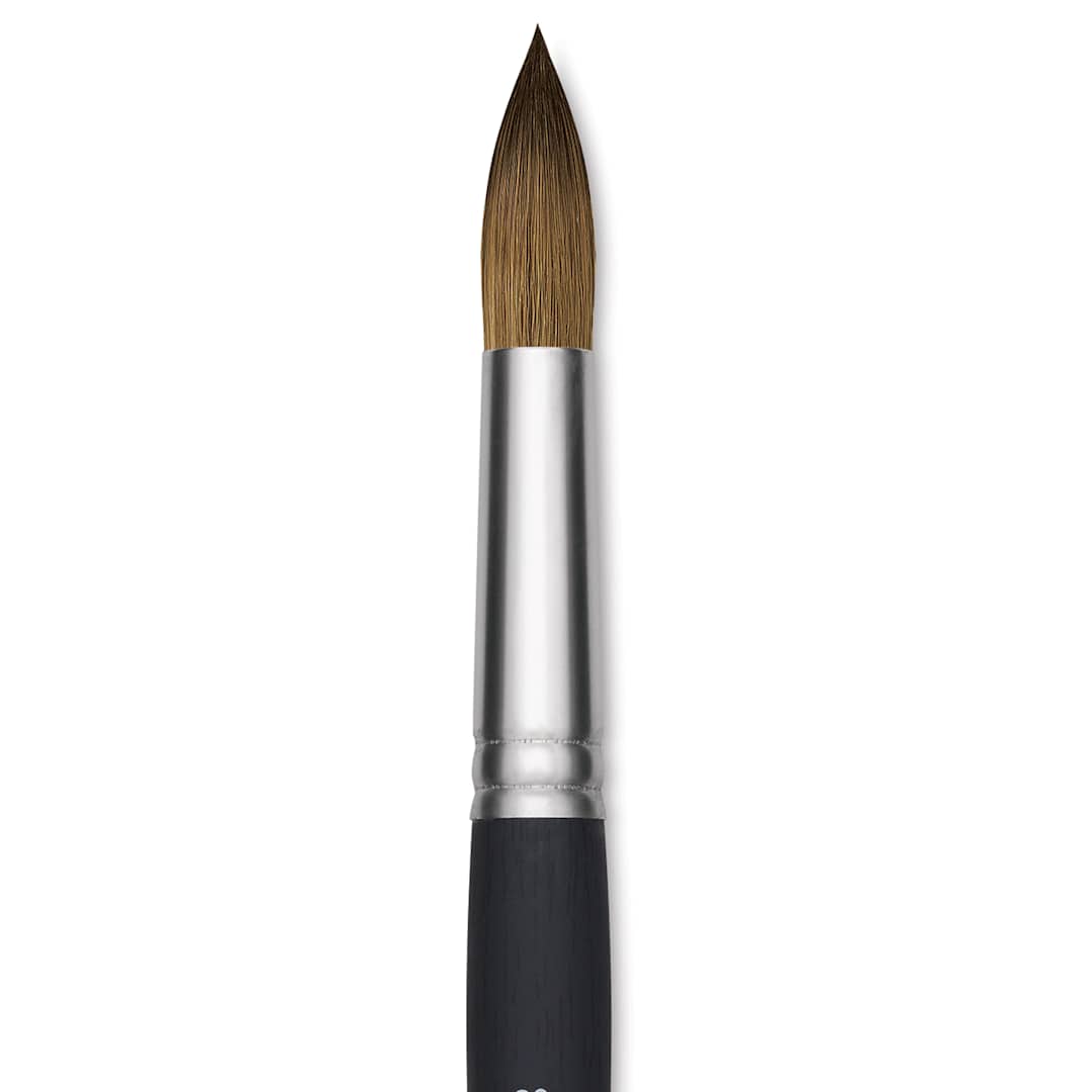 Open in modal - Princeton Aqua Elite Series 4850 Synthetic Brush - Round, Size 20, Short Handle, close up