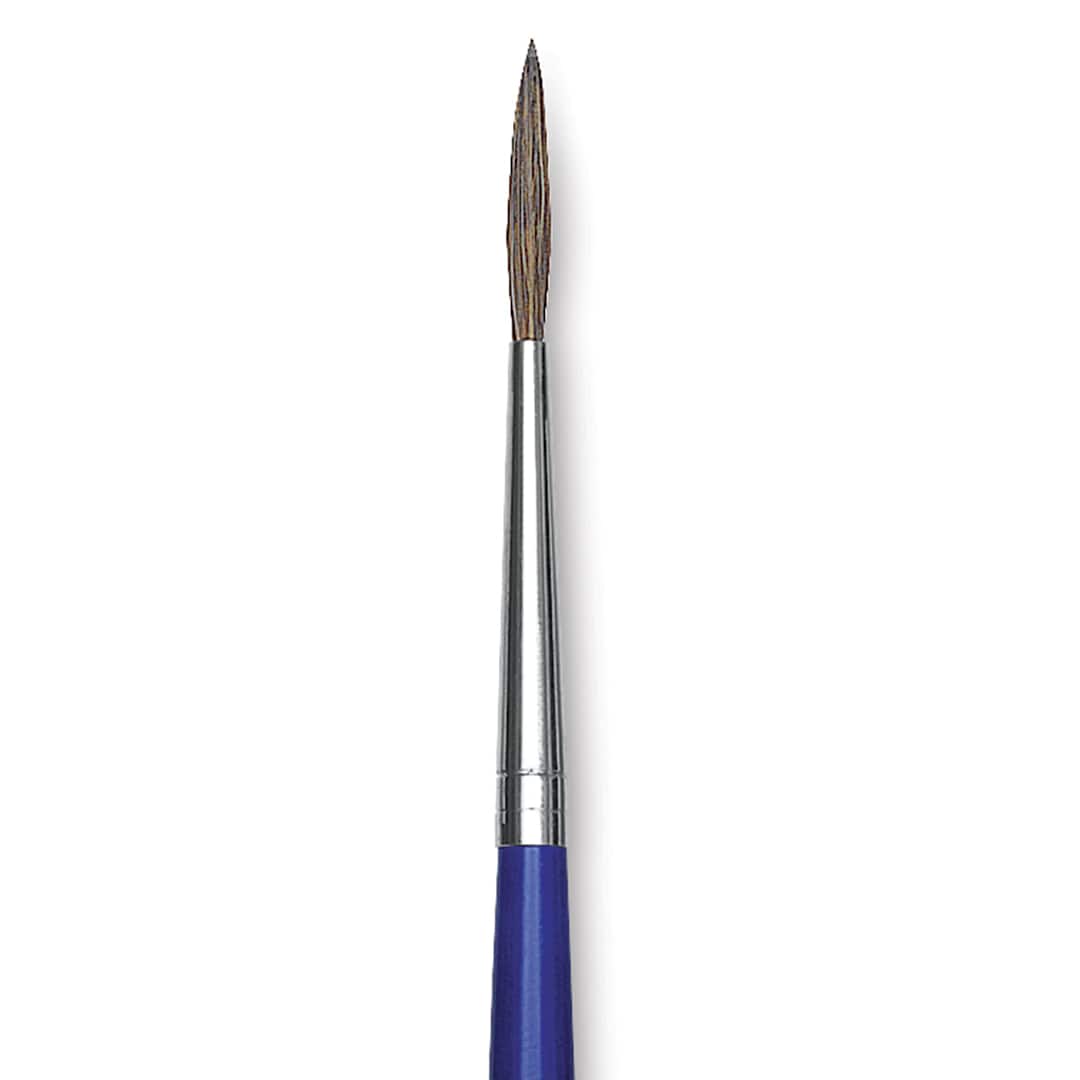 Open in modal - Blick Scholastic Ox Hair Brush - Script, Short Handle, Size 2 close up