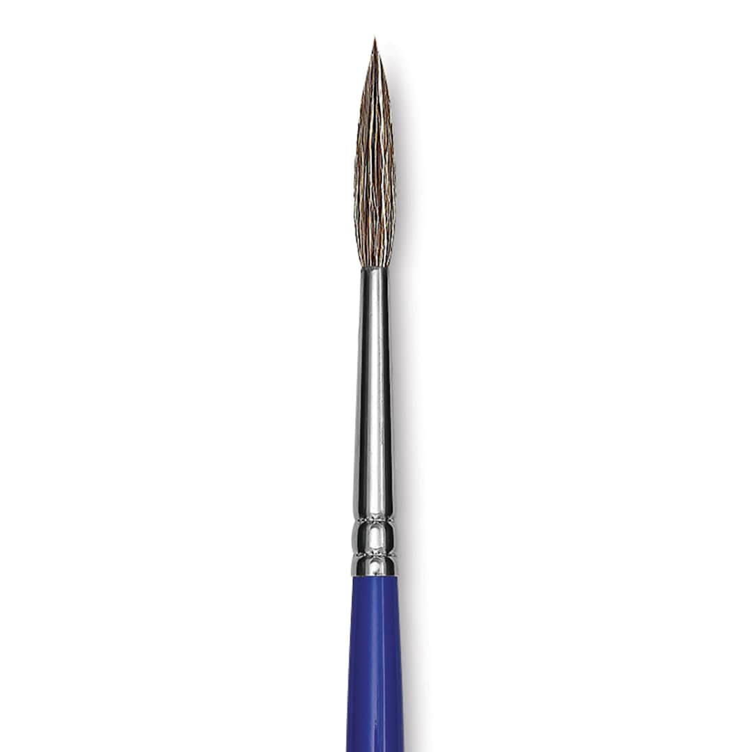 Open in modal - Blick Scholastic Ox Hair Brush - Script, Short Handle, Size 4 close up