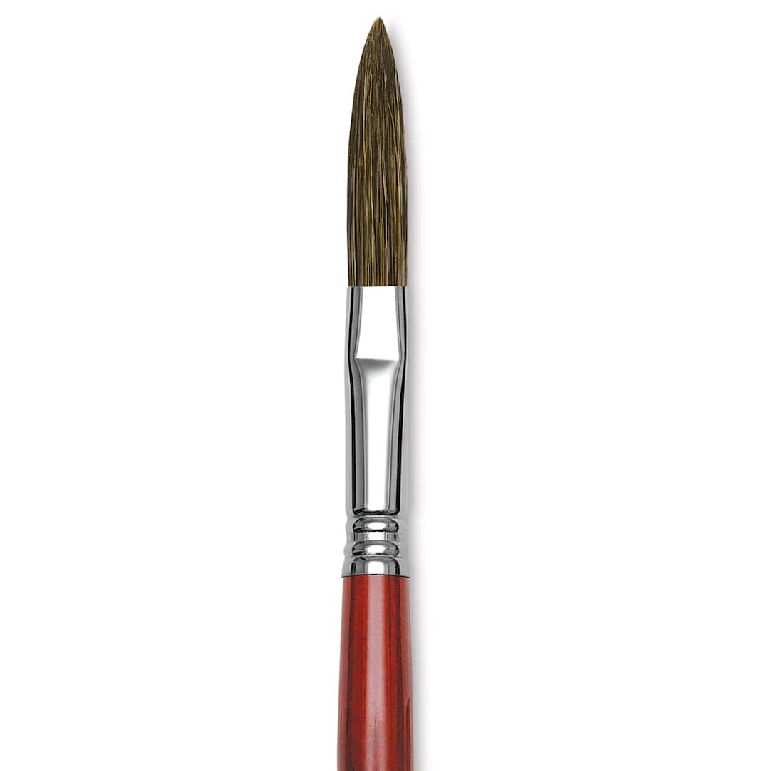 Open in modal - Escoda Light Ox Hair Script/Liner Brush - Filbert, Size 12 close up