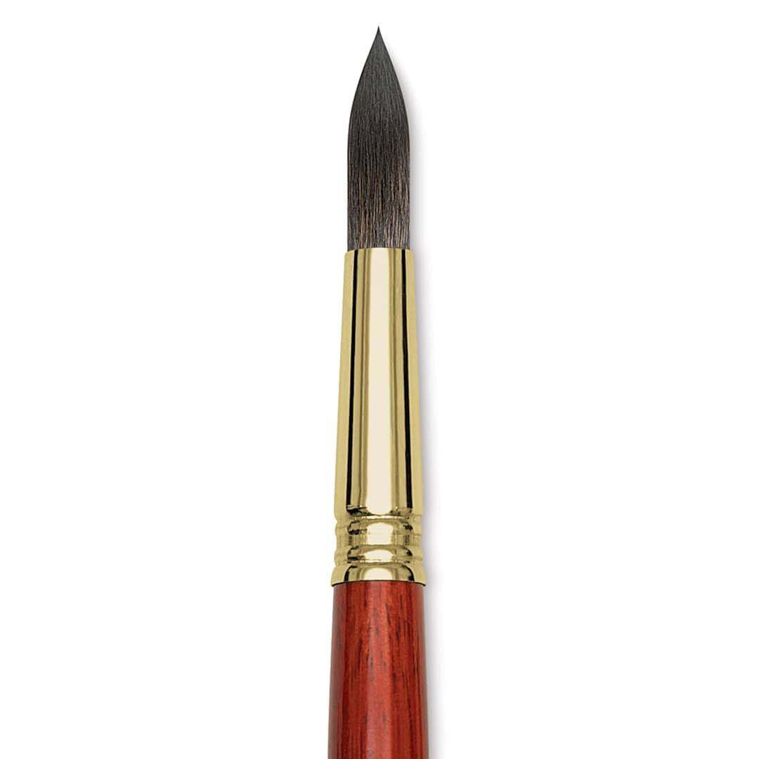 Open in modal - Blick Master Natural Brush - Round, Size 16, close-up
