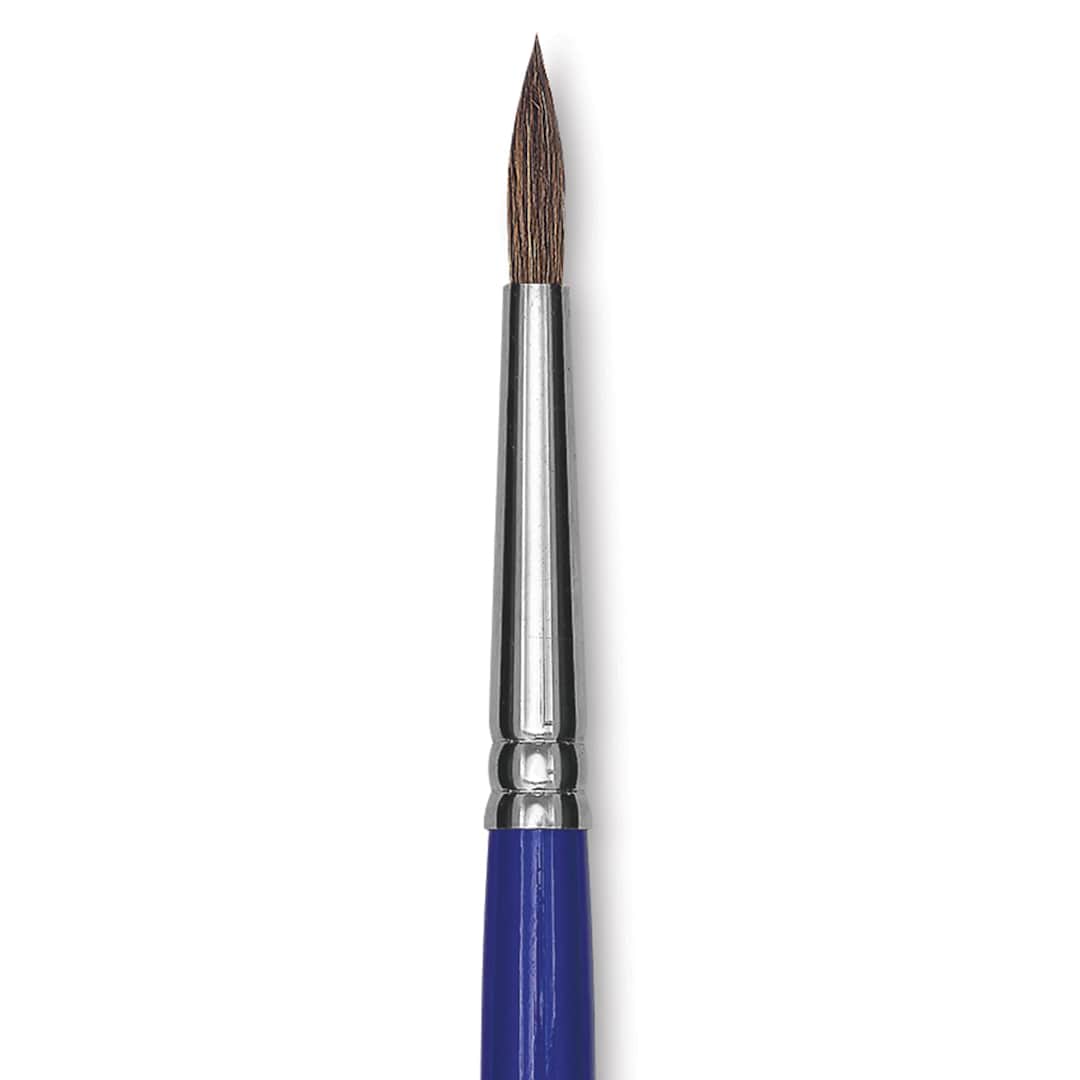 Open in modal - Blick Scholastic Pony Brush - Round, Short Handle, Size 8 close up