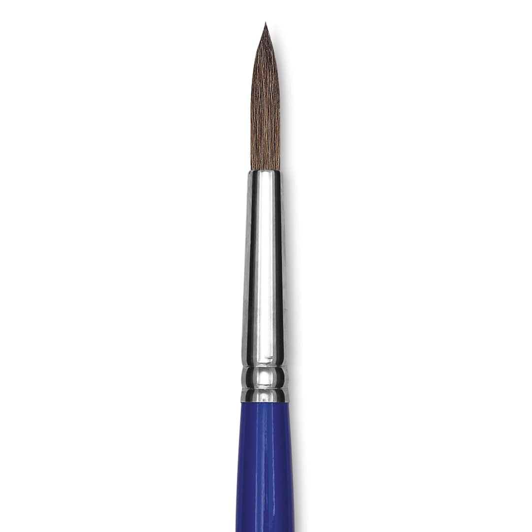 Open in modal - Blick Scholastic Camel Hair Brush - Round, Short Handle, Size 10 close up
