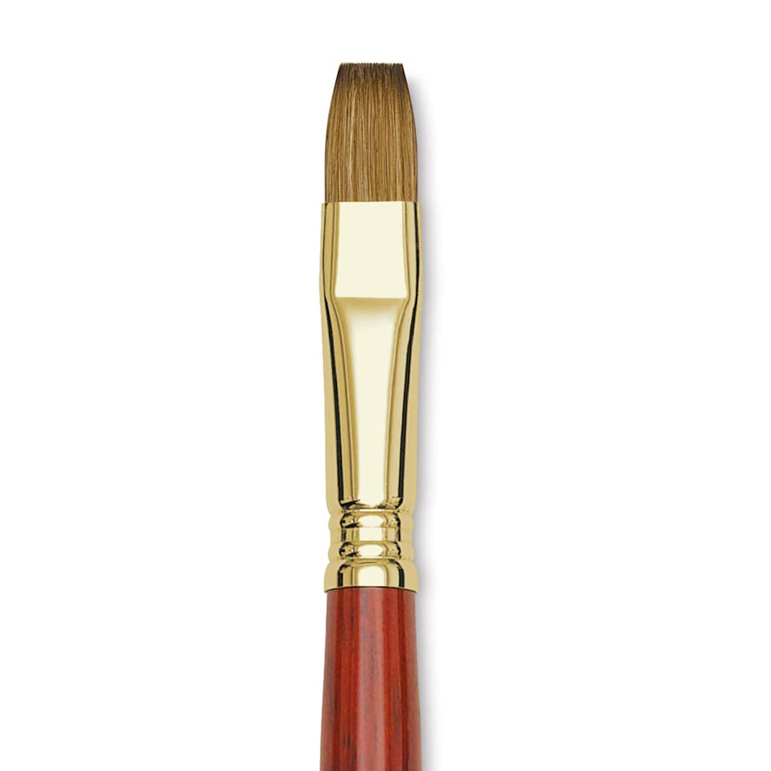 Open in modal - Blick Master Kolinsky Sable Brush - Bright, Long Handle, Size 14 close up