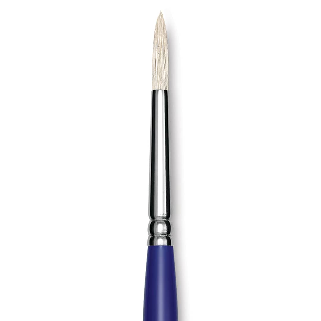 Open in modal - Blick Scholastic White Bristle Brush - Round, Size 6 close up