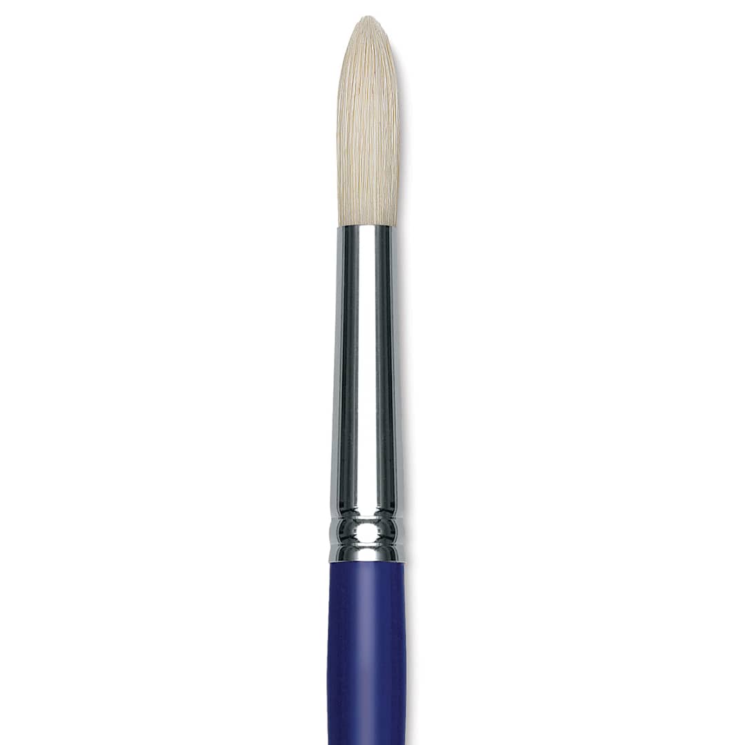 Open in modal - Blick Scholastic White Bristle Brush - Round, Size 18 close up
