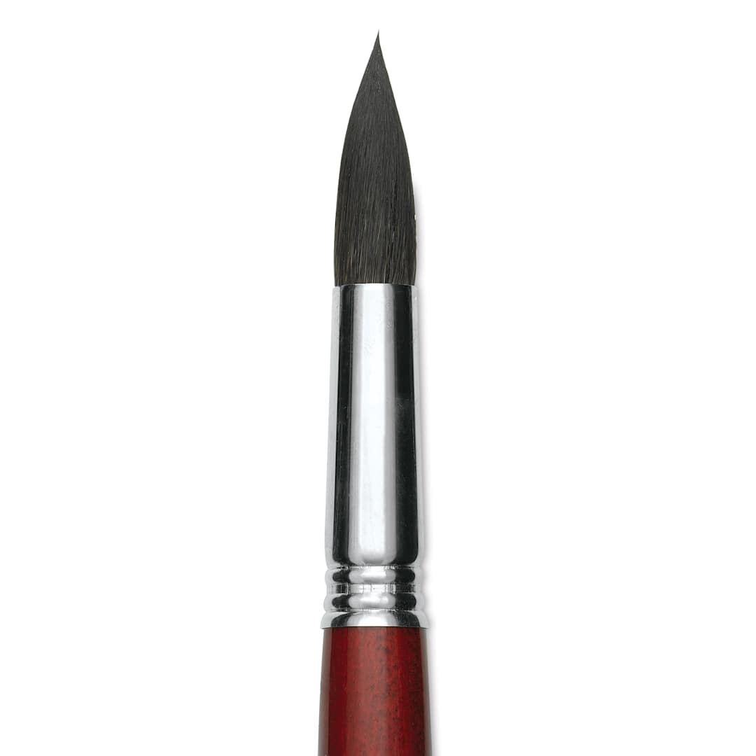 Open in modal - Escoda Aquario Squirrel Hair Brush - Round, Short Handle, Size 18, close-up