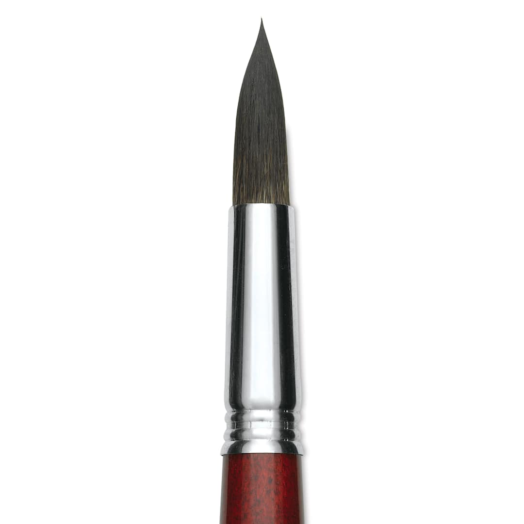 Open in modal - Escoda Aquario Squirrel Hair Brush - Round, Short Handle, Size 20, close-up