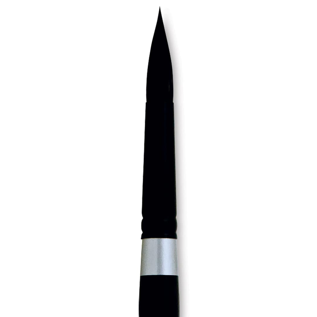 Open in modal - Silver Brush Black Velvet Brush - Round, Size 16 close up