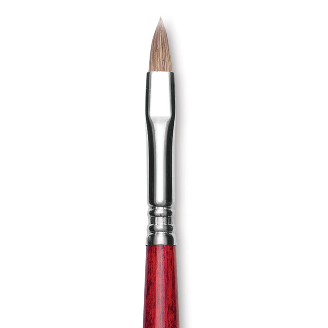 Open in modal - Escoda Opera Takatsu Synthetic Brush - Filbert, Long Handle, Size 8 (Close-up of brush)