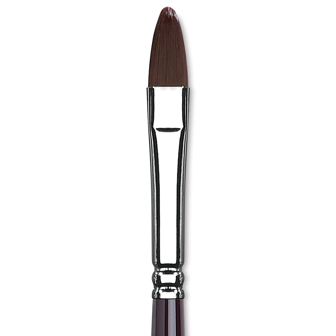Open in modal - Winsor & Newton Galeria Brush - Filbert, Size 8, Long Handle (close-up to show brush head)