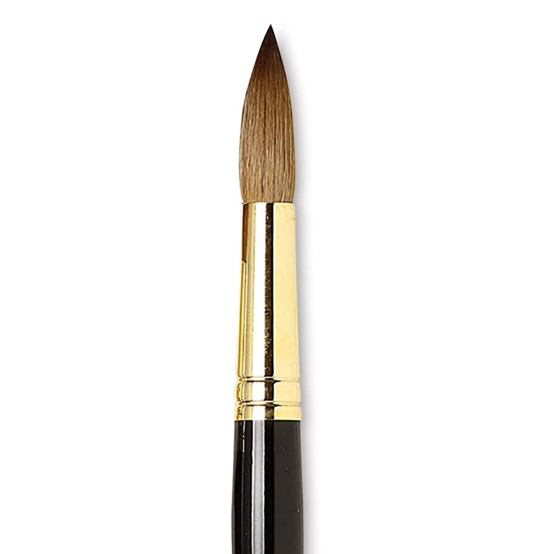 Open in modal - Da Vinci Maestro Kolinsky Brush - Full Belly Round, Short Handle, Size 24 close up