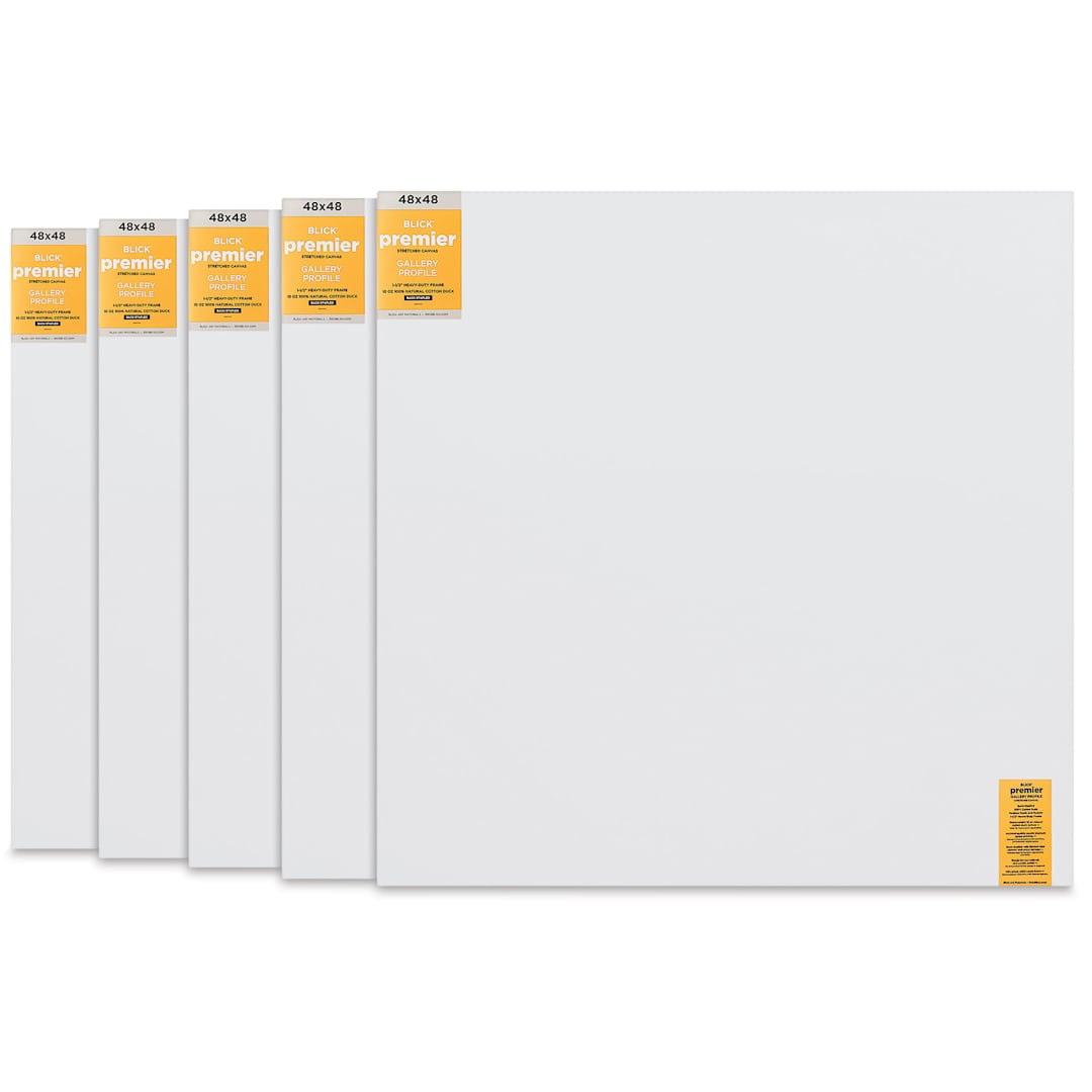 Open in modal - Blick Premier Stretched Cotton Canvas - Gallery Profile, Back-Stapled, 48" x 48", Pkg of 5 front