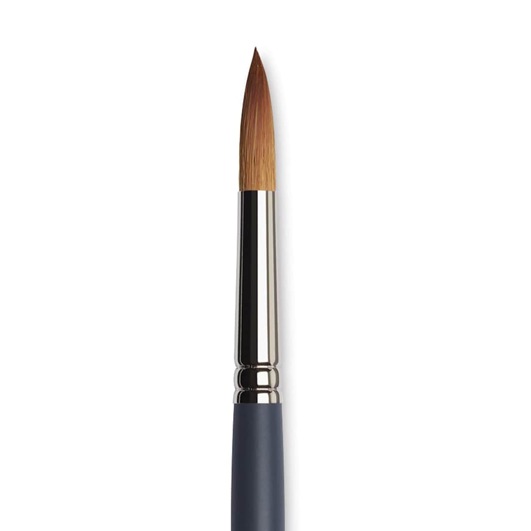 Open in modal - Winsor & Newton Professional Watercolor Synthetic Sable Brush - Round, Size 12, Short Handle (close-up)