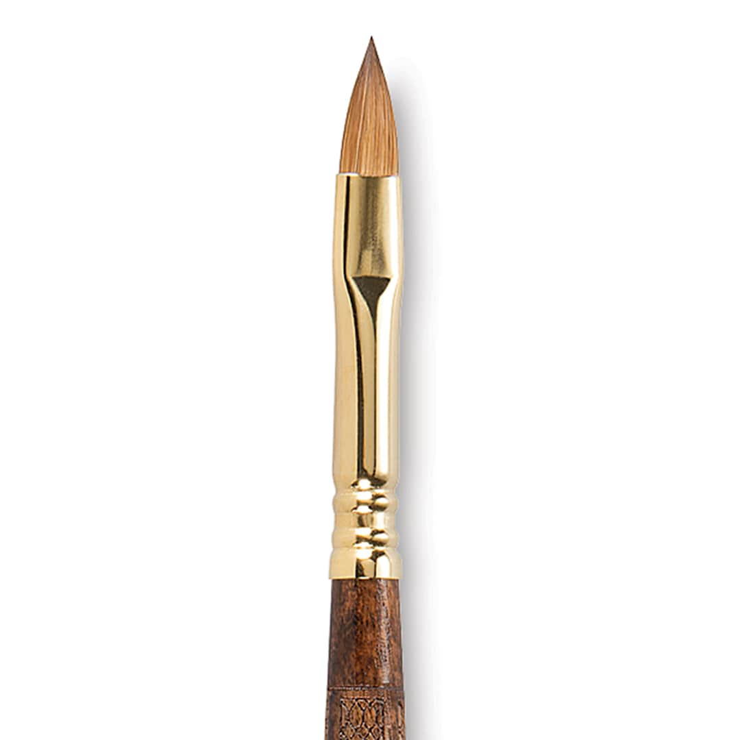 Open in modal - Escoda Reserva Kolinsky-Tajmyr Sable Brush - Filbert, Short Handle, Size 8 (close-up)