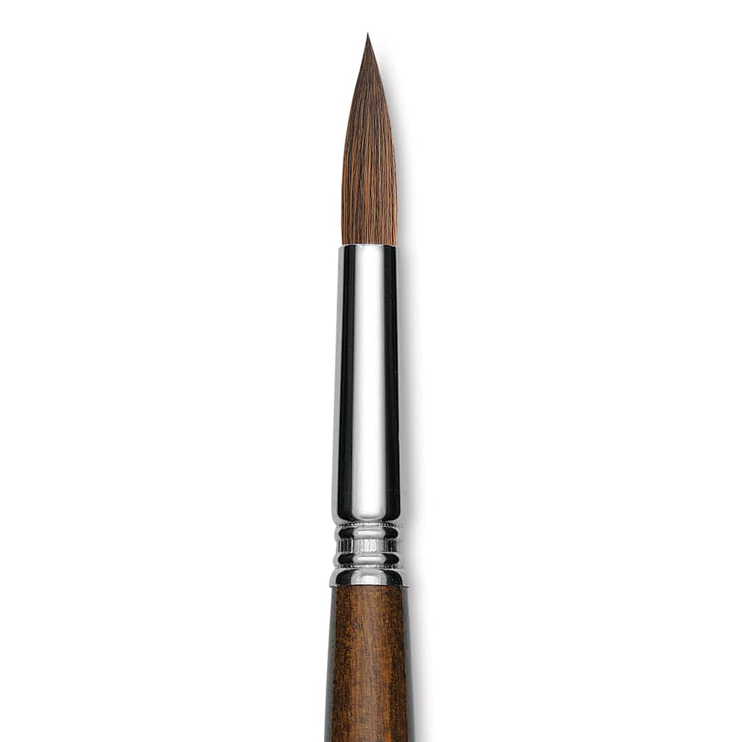 Open in modal - Escoda Versatil Brush - Pointed Round, Size 14, Long Handle close up