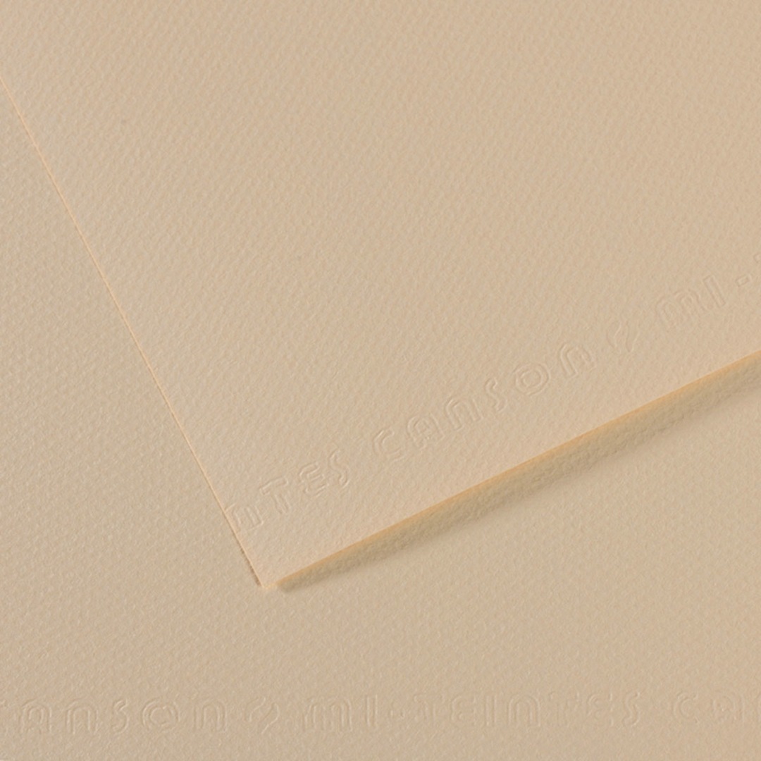 Open in modal - Canson Mi-Teintes Drawing Paper - 19" x 25", Eggshell, Single Sheet